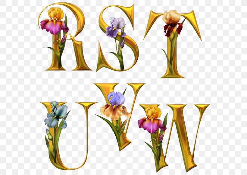 Letter French Alphabet Flower, PNG, 580x580px, Letter, Alphabet, Cut Flowers, Drawing, Flora Download Free