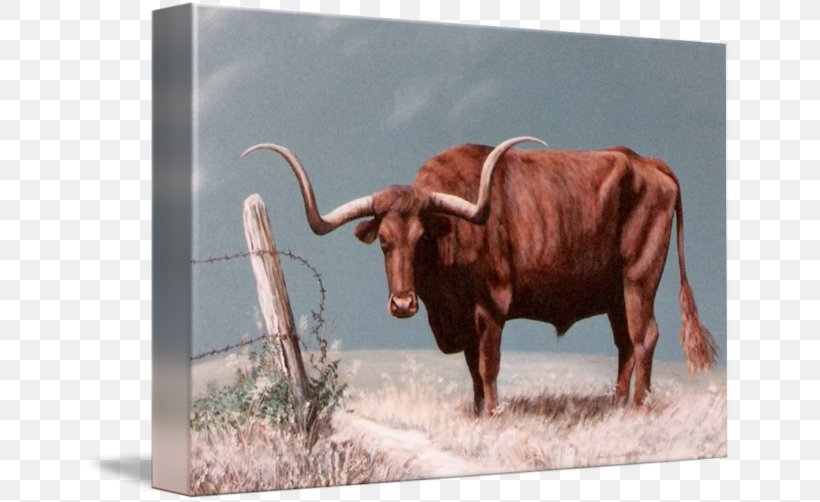 Texas Longhorn English Longhorn Calf Paper Printing, PNG, 650x502px, Texas Longhorn, Art, Bull, Calf, Canvas Download Free