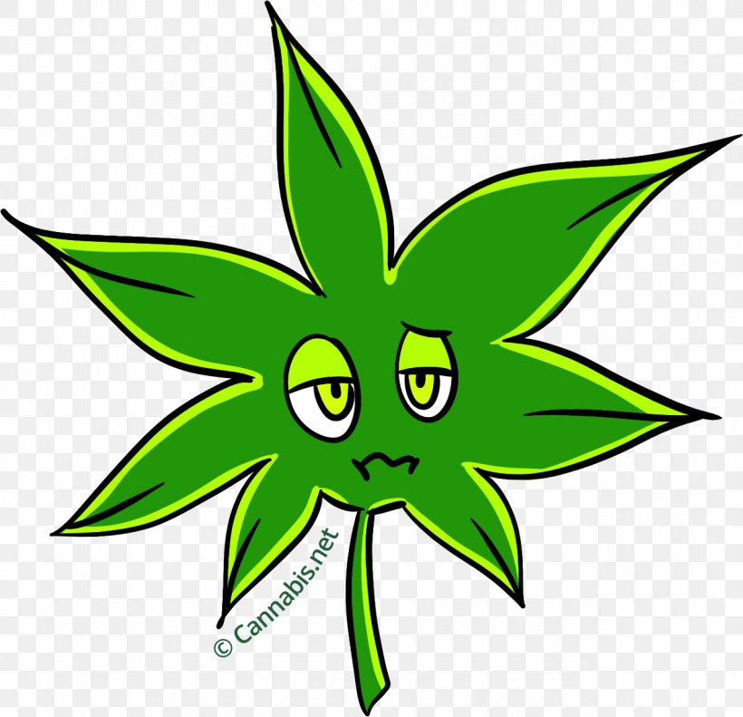 Cannabis Kush Xerostomia Insomnia Stress, PNG, 1278x1233px, Cannabis, Artwork, Dizziness, Flora, Flower Download Free