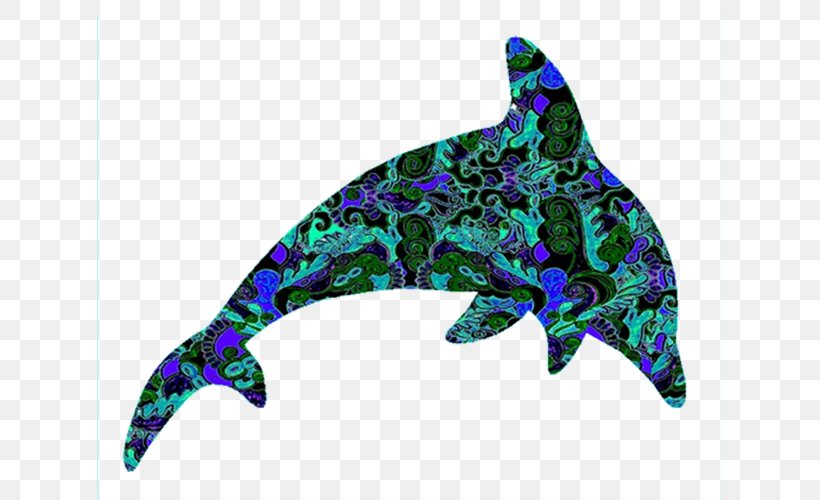 Dolphin Art Marine Life Clip Art, PNG, 625x500px, Dolphin, Art, Common Dolphin, Drawing, Marine Life Download Free