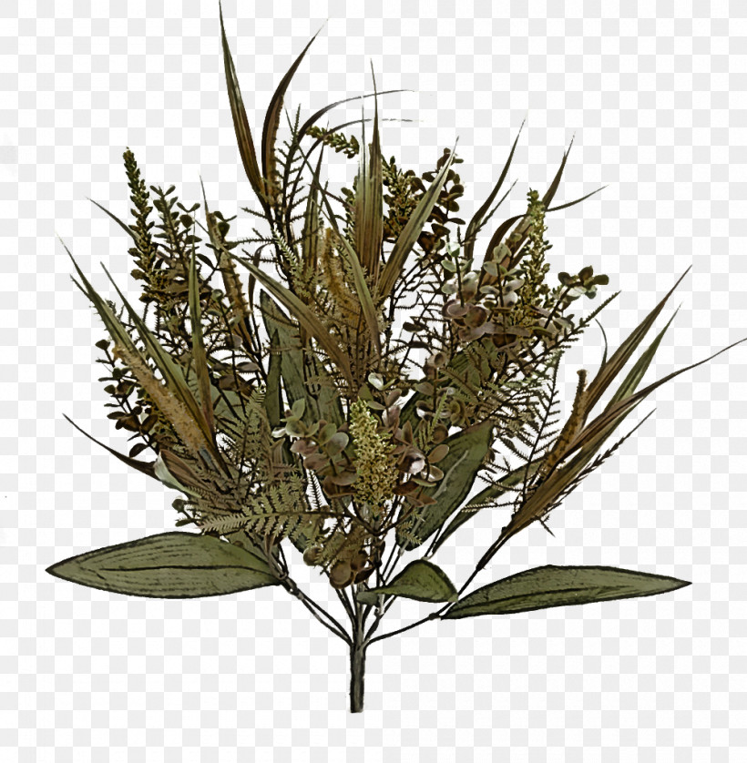 Grasses Tree, PNG, 1000x1023px, Grasses, Tree Download Free