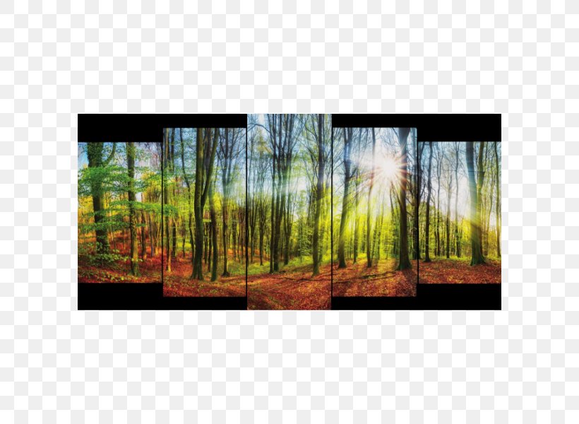 Stock Photography Royalty-free Hunting Painting, PNG, 600x600px, Stock Photography, Canvas, Ecosystem, Forest, Grass Download Free