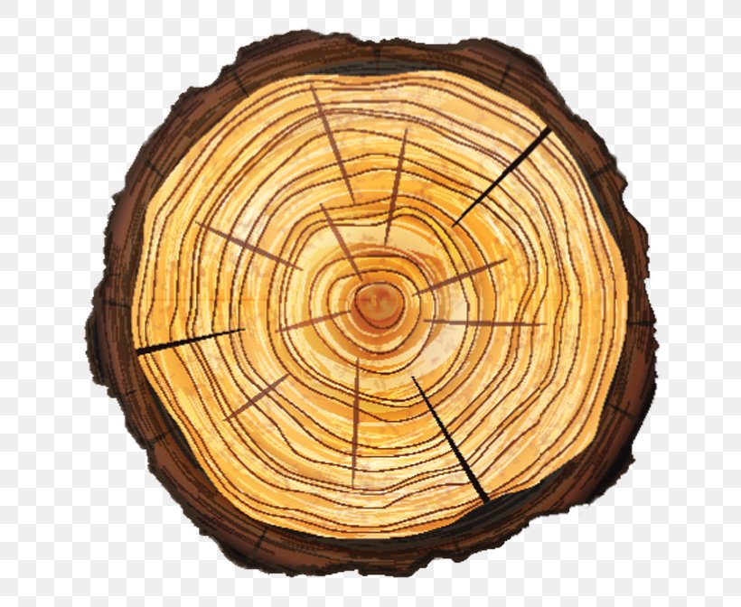 Trunk Tree Stump Cross Section Vector Graphics, PNG, 768x672px, Trunk, Cross Section, Drawing, Lumber, Royaltyfree Download Free