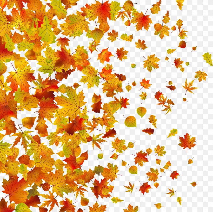 Withered Autumn Leaves, PNG, 2500x2498px, Leaf, Autumn, Autumn Leaf Color, Branch, Deciduous Download Free