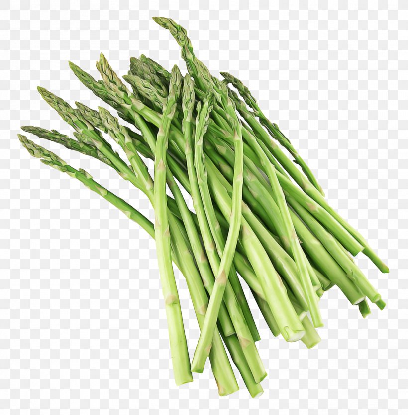 Frozen Food Cartoon, PNG, 1408x1432px, Asparagus, Blanching, Broccoli, Can, Chives Download Free