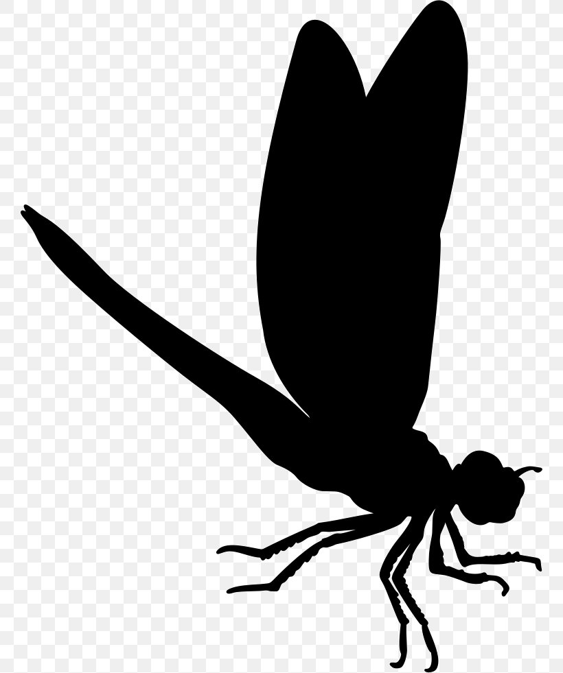 Insect Dragonfly Silhouette Image Vector Graphics, PNG, 760x981px, Insect, Animal, Black And White, Butterfly, Dragonfly Download Free