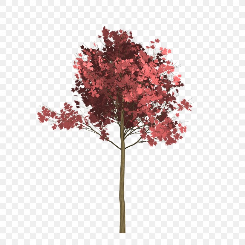 Red Maple Tree Image Twig Stock.xchng, PNG, 1280x1280px, Red Maple, Branch, Brown, Flowering Plant, Leaf Download Free