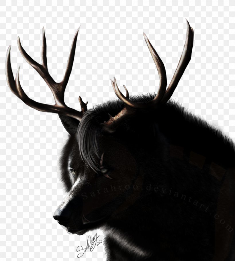 Reindeer Elk Antler Wildlife Snout, PNG, 900x1000px, Reindeer, Antler, Deer, Elk, Fur Download Free