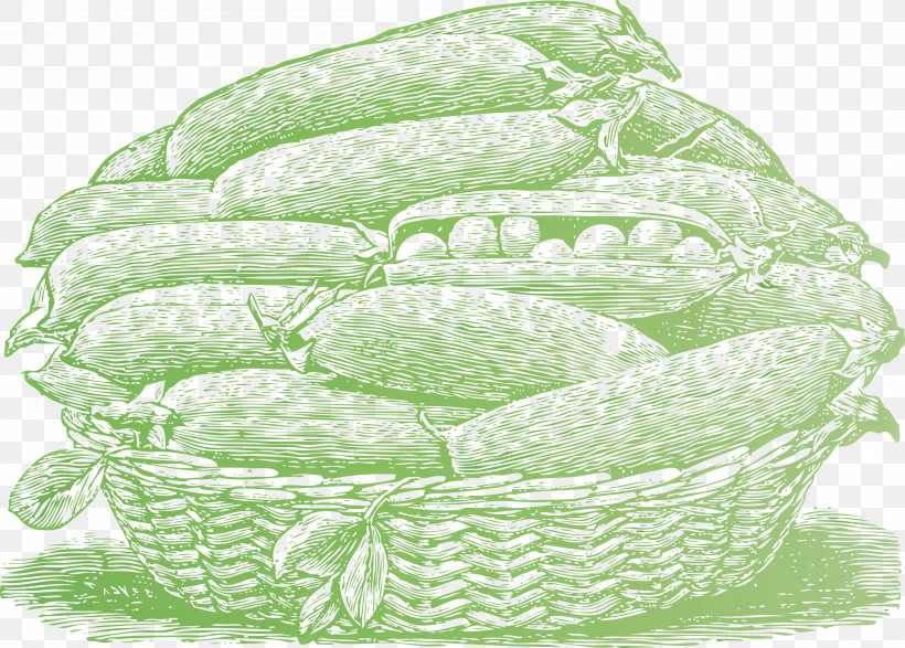 Vegetable, PNG, 3000x2148px, Vegetable, Cartoon, Christmas Day, Cornucopia, Cuisine Download Free