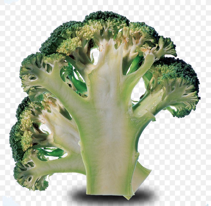 Broccoli Cauliflower Cabbage Vegetable Ingredient, PNG, 800x800px, Broccoli, Brassica Oleracea, Cabbage, Cabbage Family, Cauliflower Download Free