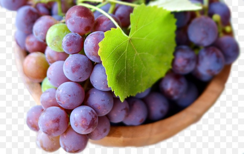 Common Grape Vine Berry Food Wallpaper, PNG, 850x540px, Common Grape Vine, Apple, Berry, Blueberry, Carton Download Free