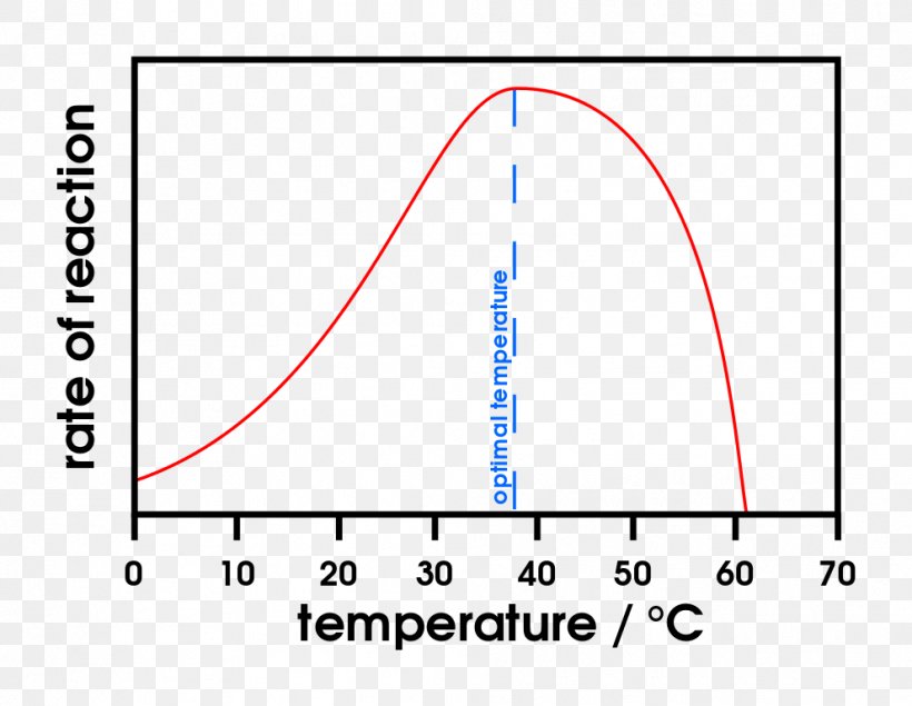 Enzyme Substrate Chemical Reaction Thermodynamic Activity PH, PNG, 991x768px, Enzyme, Activation Energy, Active Site, Amylase, Area Download Free