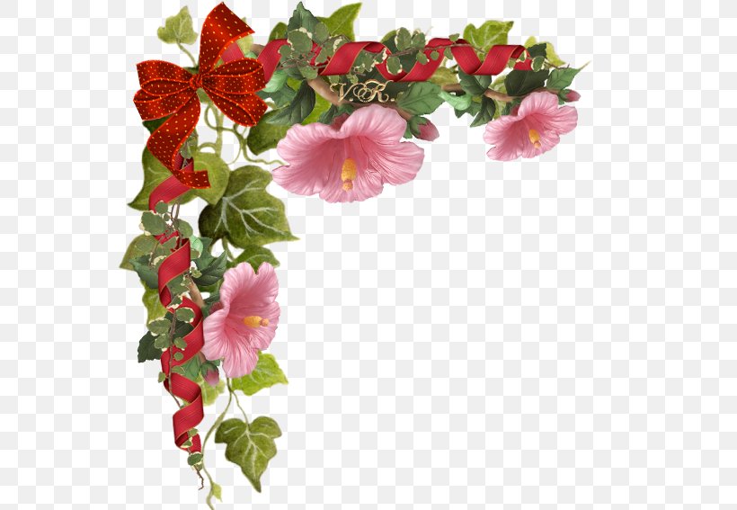 Flower Petal Blog Begonia, PNG, 567x567px, Flower, Annual Plant, Begonia, Blog, Fasting Download Free