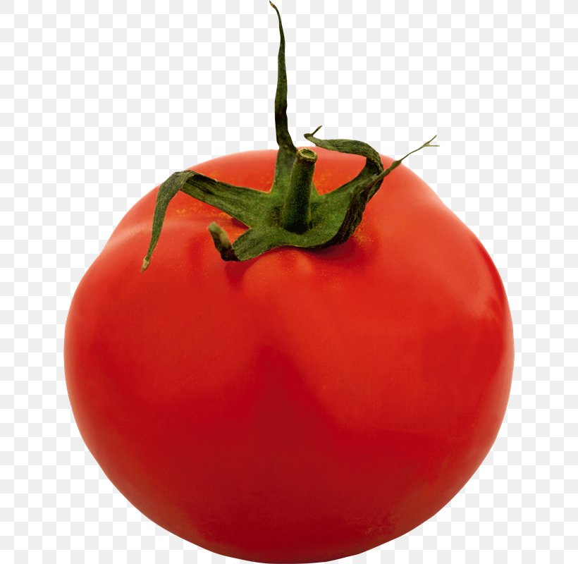 Plum Tomato Bush Tomato Chili Pepper Pomodoro Technique, PNG, 640x800px, Plum Tomato, Bell Pepper, Bell Peppers And Chili Peppers, Bush Tomato, Chili Con Carne Download Free