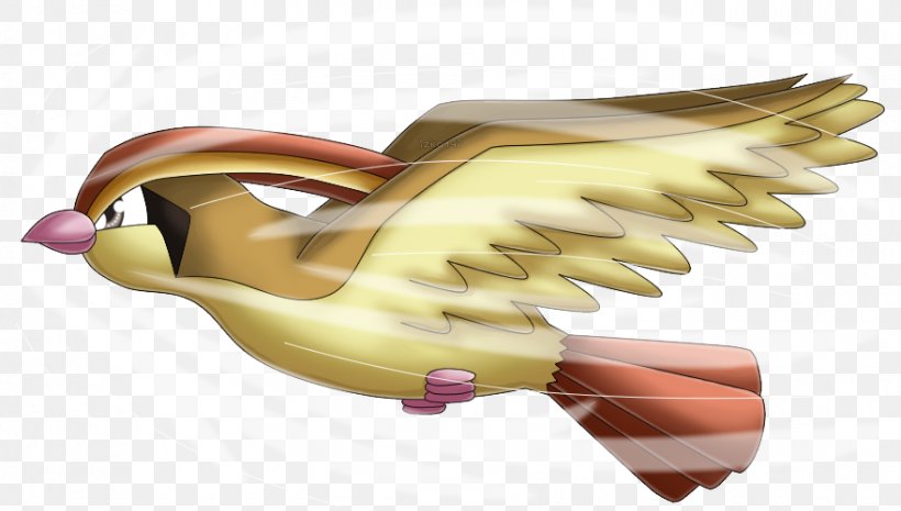 Pokémon Gold And Silver Pidgeotto Absol, PNG, 880x500px, Pidgeot, Absol, Claw, Drawing, Fearow Download Free