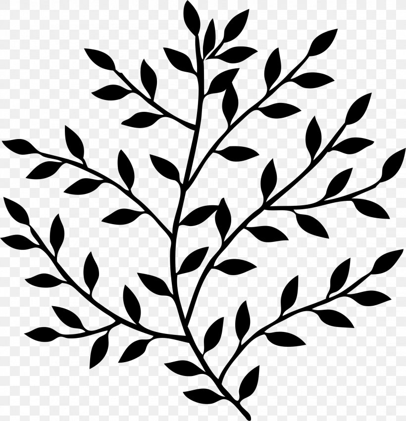 Branch Clip Art Image Vector Graphics Bay Laurel, PNG, 2190x2274px, Branch, Art, Bay Laurel, Blackandwhite, Botany Download Free