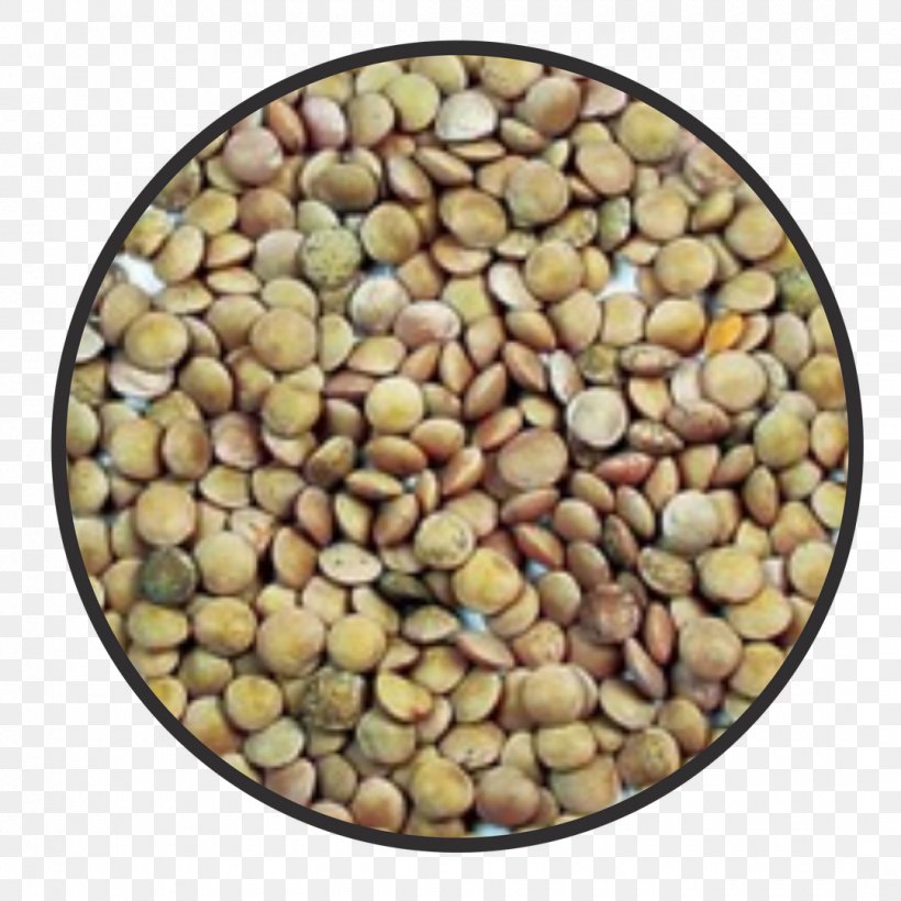 Food Greek Cuisine Health Lentil Legume, PNG, 1080x1080px, Food, Bean, Commodity, Dietary Fiber, Eating Download Free