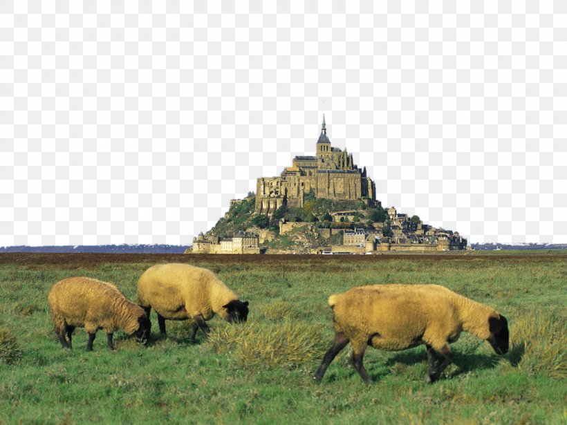 Genxeats Mont Saint Michel Abbey Saint-Michel-de-Montjoie Mont Saint-Michel Bay, PNG, 1600x1200px, Mont Saint Michel Abbey, Ecoregion, Farm, Fauna, France Download Free