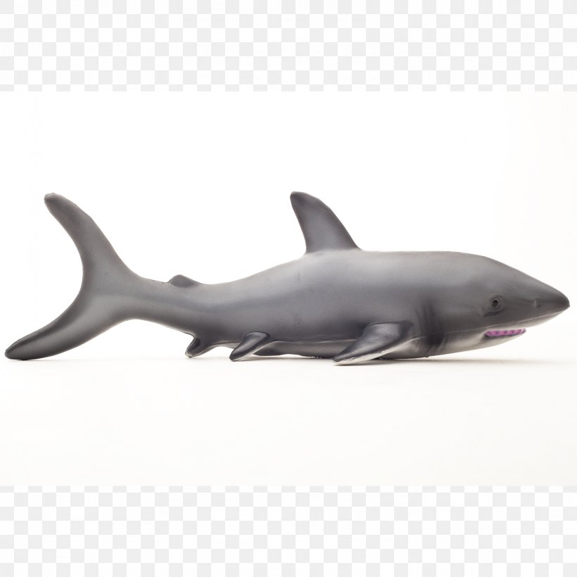 Great White Shark Toy Marine Mammal Whale Shark, PNG, 1597x1597px, Shark, Blue Whale, Cartilaginous Fish, Child, Dolphin Download Free