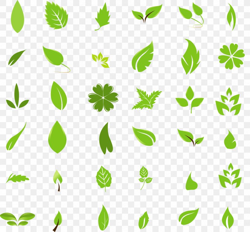 Leaf Clip Art, PNG, 1685x1562px, Leaf, Art, Autumn Leaf Color, Banana Leaf, Branch Download Free