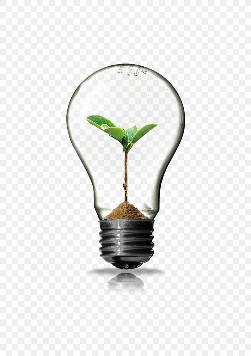 Light Innovation, PNG, 2480x3508px, Light, Energy, Germination, Incandescent Light Bulb, Innovation Download Free