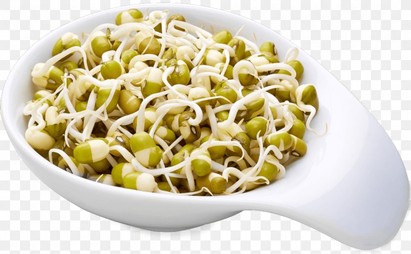 Vegetarian Cuisine Food Sprouting Mung Bean, PNG, 1024x634px, Vegetarian Cuisine, Bean, Cereal, Cuisine, Dish Download Free