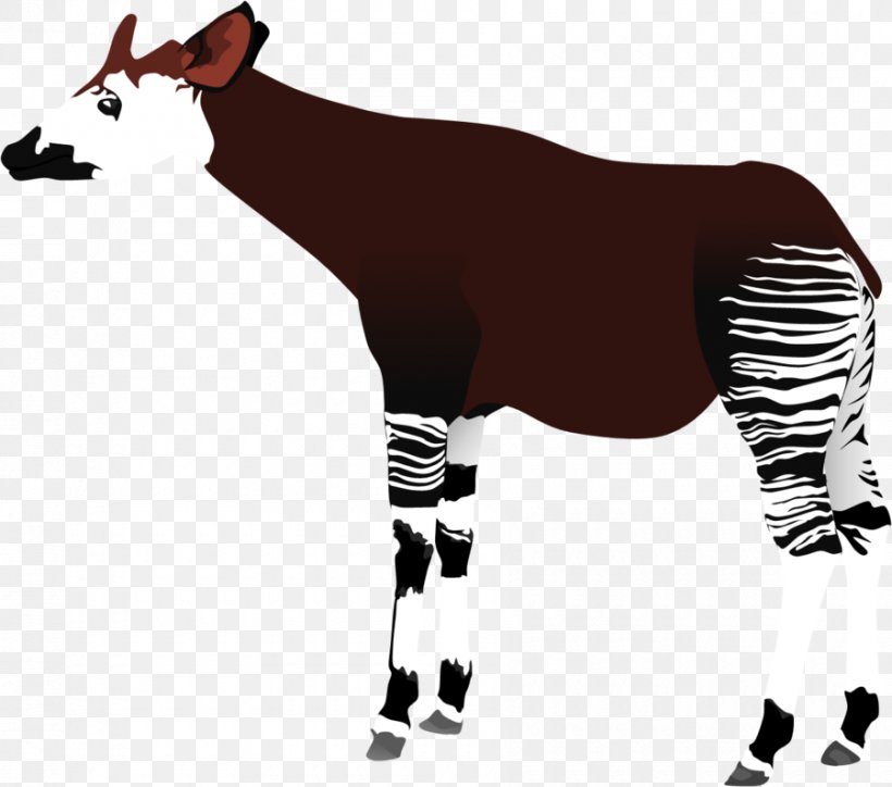 Okapi Giraffe Drawing Clip Art, PNG, 900x795px, Okapi, Animal, Democratic Republic Of The Congo, Drawing, Giraffe Download Free