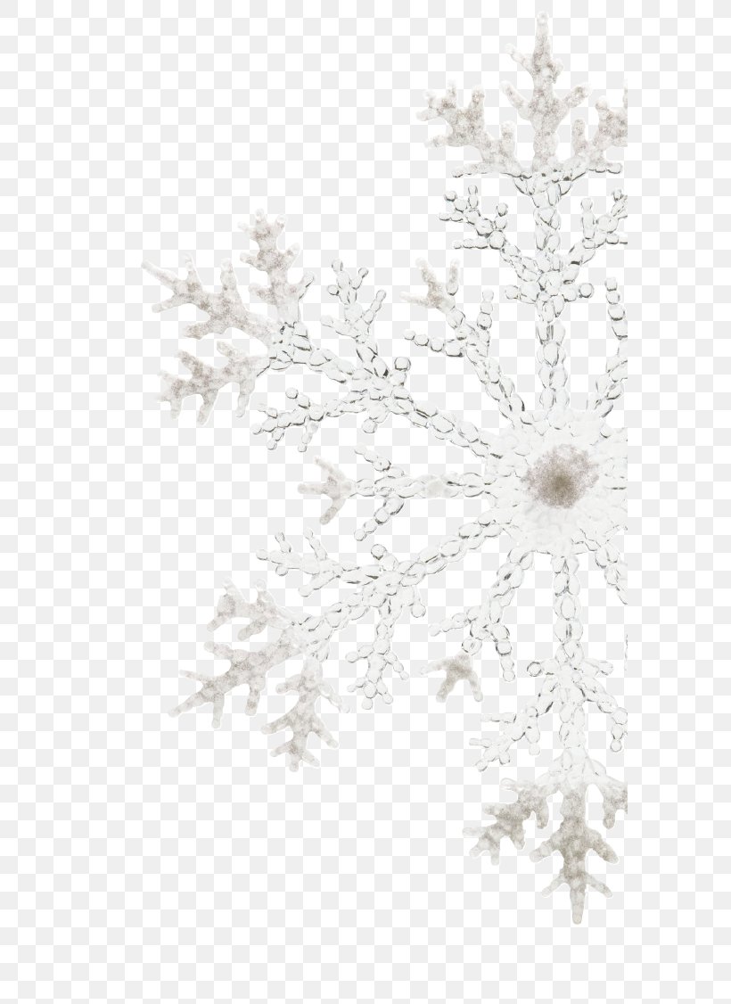 Snowflake / Transparent Stock Photography, PNG, 589x1126px, Snowflake, Branch, Crystal, Frost, Getty Images Download Free