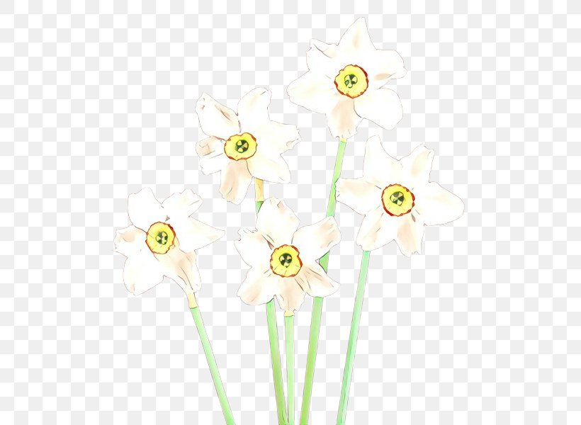 Yellow Flower Plant Cut Flowers Narcissus, PNG, 529x600px, Cartoon, Cut Flowers, Flower, Narcissus, Plant Download Free