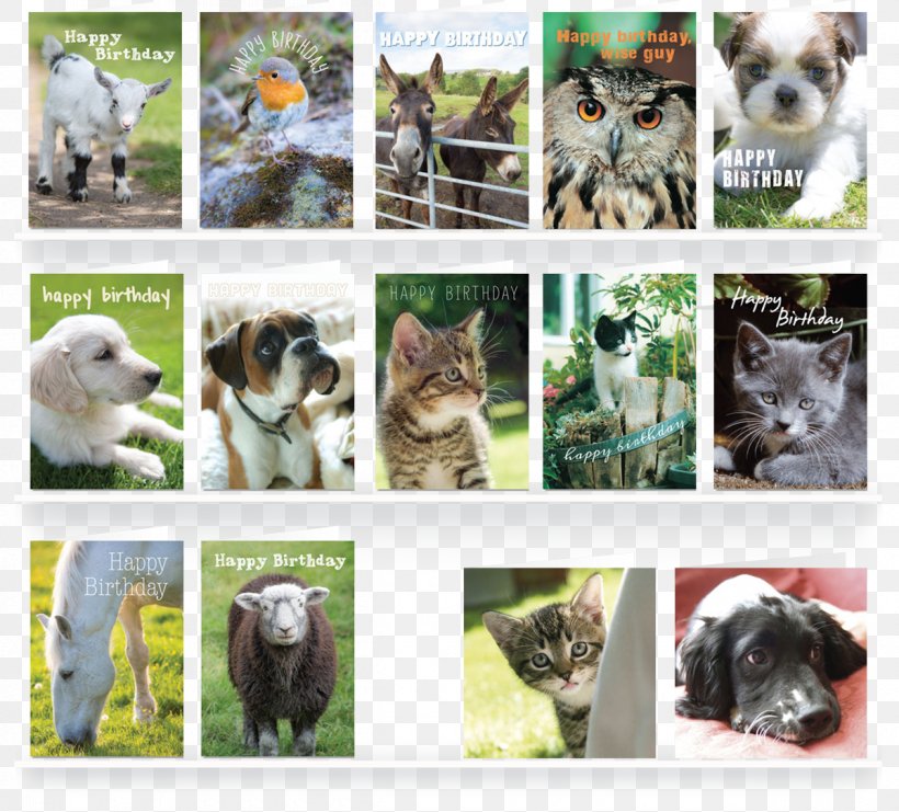 Dog Greeting & Note Cards Cat Envelope Pet, PNG, 1200x1085px, Dog, Animal, Breed, Canidae, Carnivora Download Free