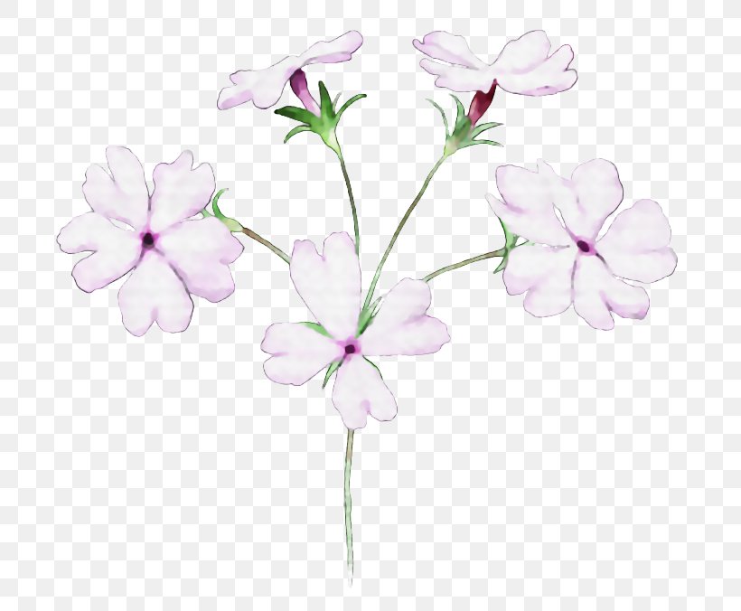Floral Design Flower Illustrator, PNG, 710x676px, Floral Design, Blossom, Branch, Cartoon, Cherry Blossom Download Free