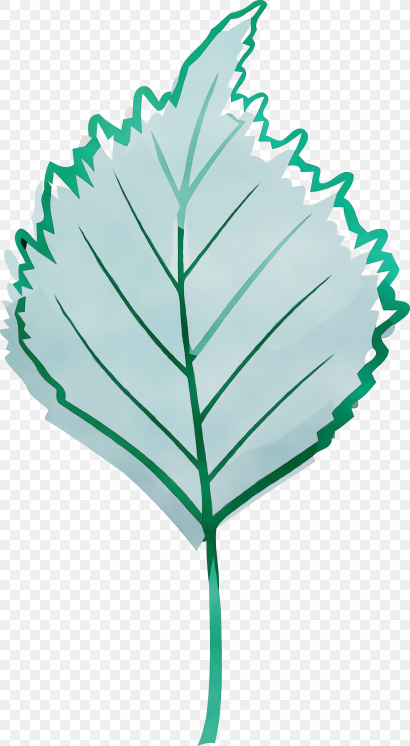 Leaf Green Plant, PNG, 1917x3490px, Autumn Leaf, Green, Leaf, Paint, Plant Download Free