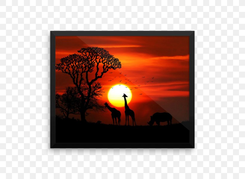Rhinoceros Dog Animal Giraffe Bird, PNG, 600x600px, 4k Resolution, 8k Resolution, Rhinoceros, Animal, Bird Download Free