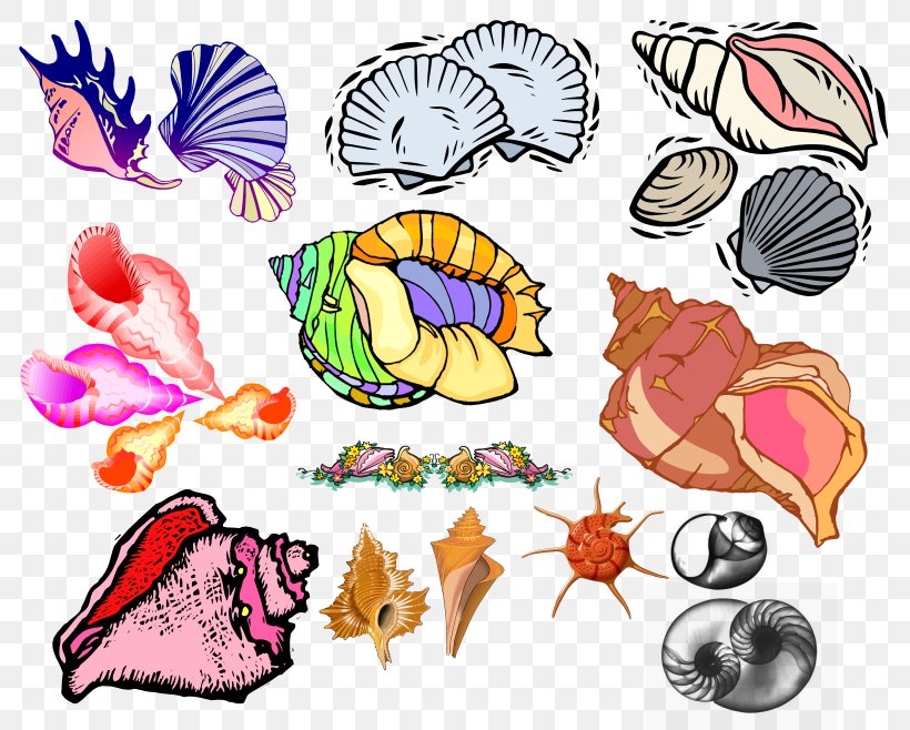 Seashell Invertebrate Animal DepositFiles Bird, PNG, 2460x1974px, Watercolor, Cartoon, Flower, Frame, Heart Download Free