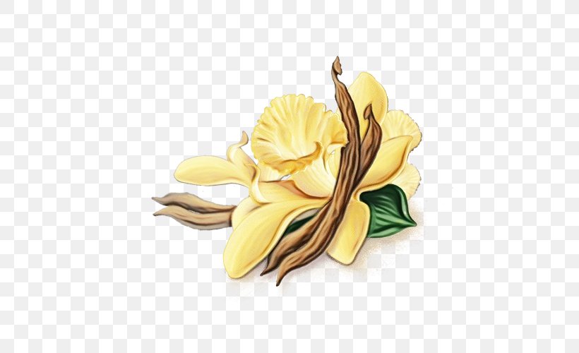 Yellow Petal Flower Frangipani Plant, PNG, 500x500px, Watercolor, Beige, Flower, Flowering Plant, Frangipani Download Free