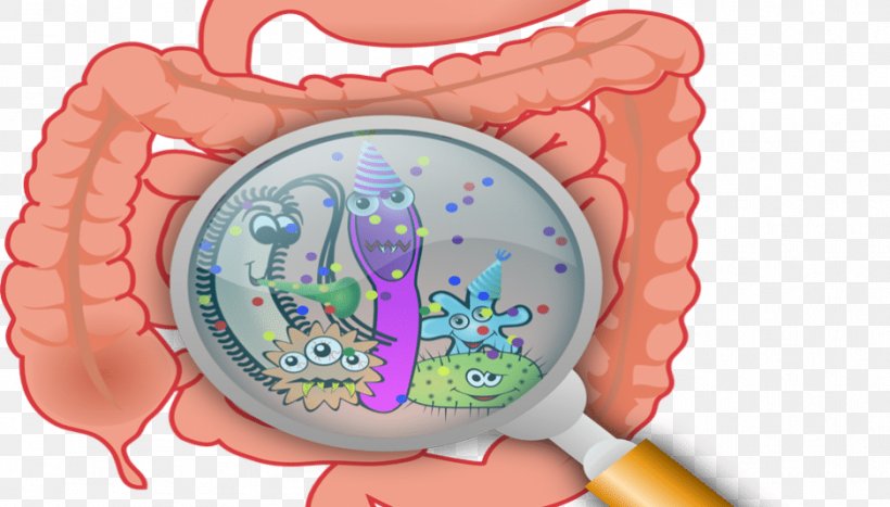 Viral Gastroenteritis Rotavirus Disease, PNG, 938x535px, Watercolor, Cartoon, Flower, Frame, Heart Download Free
