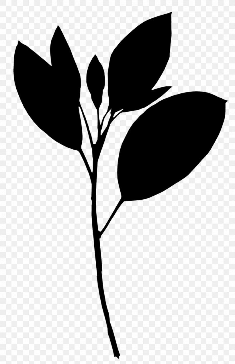 Clip Art Black & White, PNG, 1033x1600px, Black White M, Blackandwhite, Botany, Branch, Flower Download Free