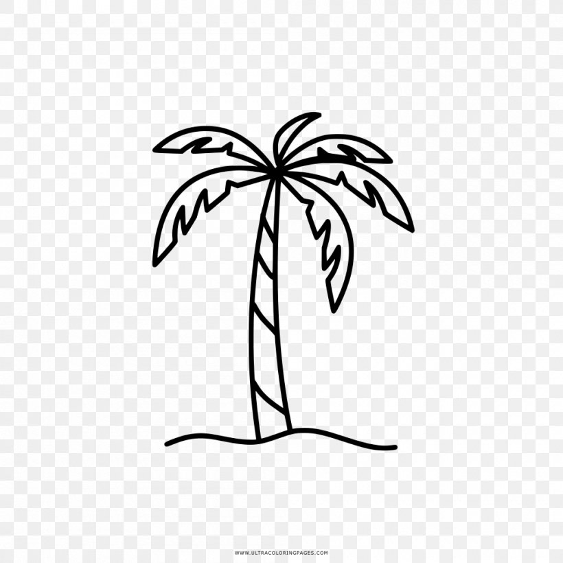 Coloring Book Drawing Blushington Line Art Palma, PNG, 1000x1000px, Coloring Book, Area, Artwork, Black And White, Branch Download Free