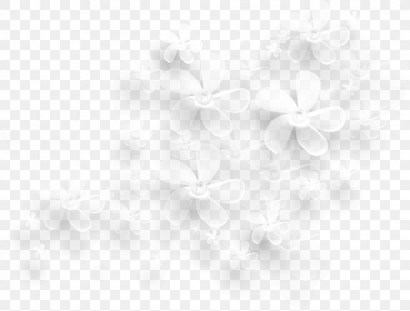 Desktop Wallpaper White Computer, PNG, 2442x1853px, White, Black And White, Blossom, Branch, Close Up Download Free