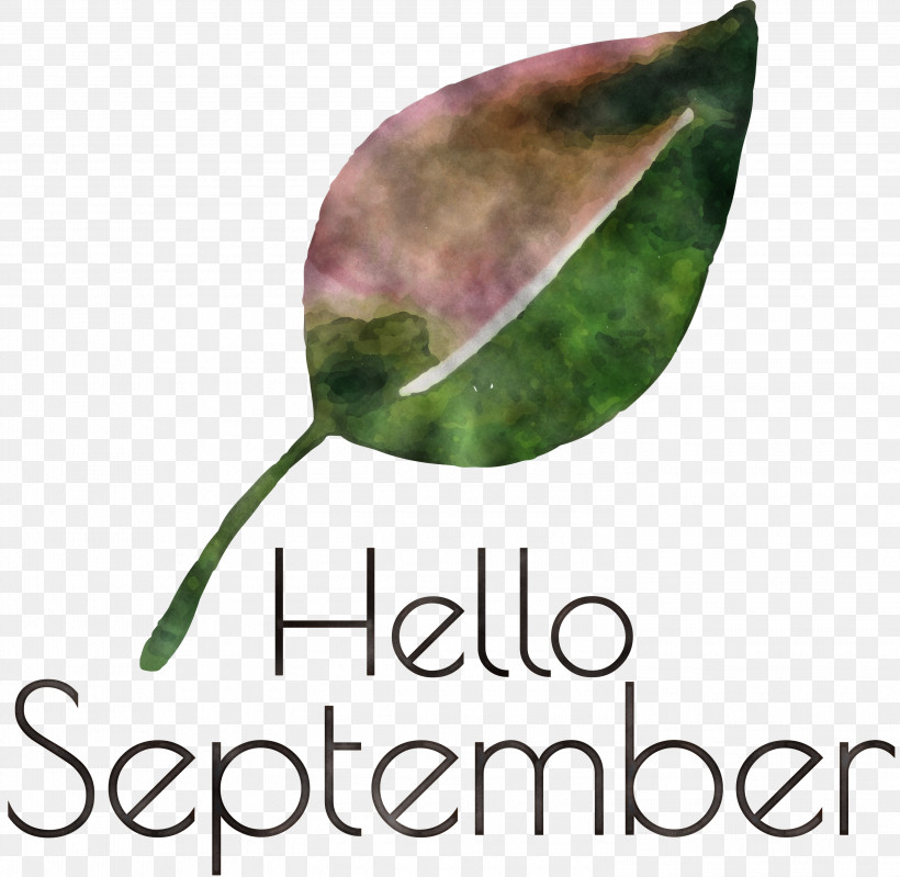 Hello September September, PNG, 3000x2926px, Hello September, Biology, Leaf, Meter, Plant Download Free