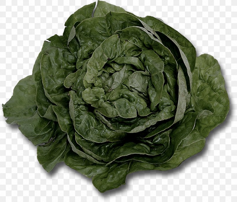 Lettuce Food Leaf Vegetable Wrap, PNG, 1157x989px, Lettuce, Cabbage, Cauliflower, Chard, Collard Greens Download Free