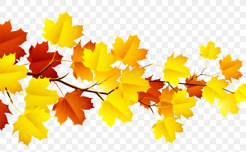 Maple Leaf, PNG, 825x510px, Leaf, Autumn, Black Maple, Branch, Maple Download Free