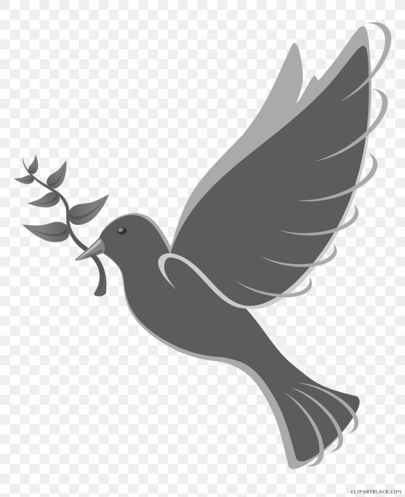 Pigeons And Doves Clip Art Free Content Domestic Pigeon, PNG, 999x1228px, Pigeons And Doves, Beak, Bird, Black And White, Domestic Pigeon Download Free