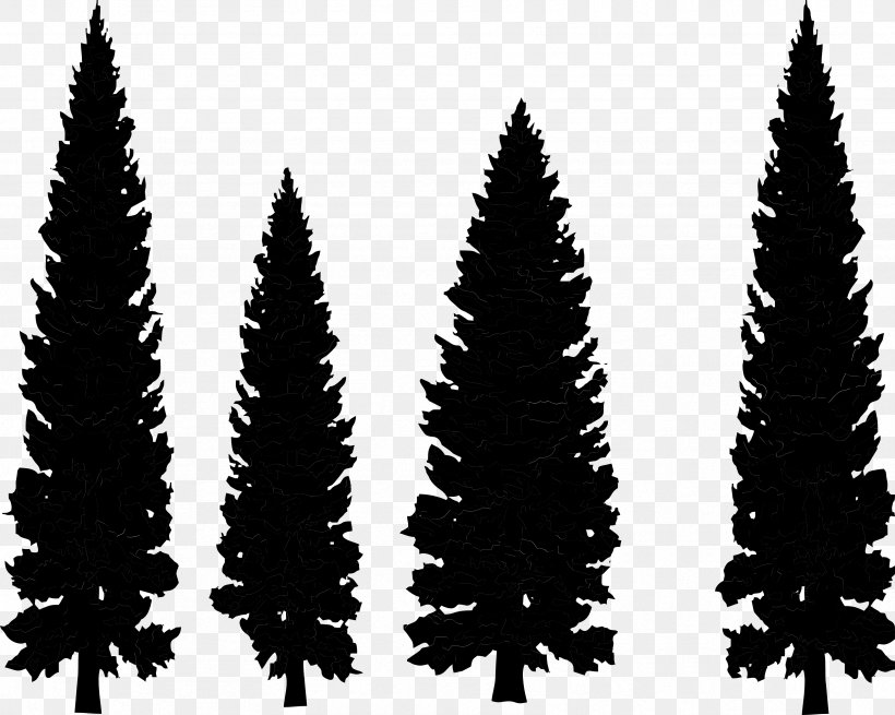 Clip Art Pine Drawing Vector Graphics Conifers, PNG, 3333x2663px, Pine, American Larch, Balsam Fir, Biome, Coast Redwood Download Free