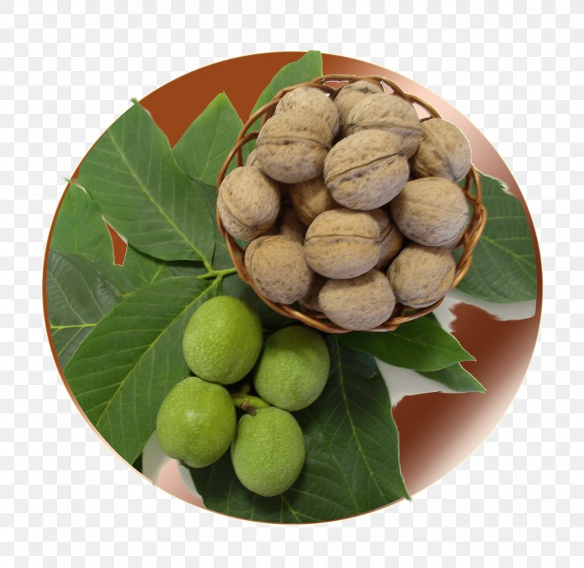 Walnut Macadamia Natural Foods Superfood, PNG, 1777x1728px, Walnut, Food, Fruit, Ingredient, Macadamia Download Free