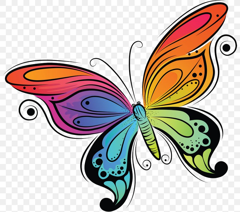 Butterfly Drawing Clip Art, PNG, 800x724px, Butterfly, Art, Artwork, Brush Footed Butterfly, Butterflies And Moths Download Free