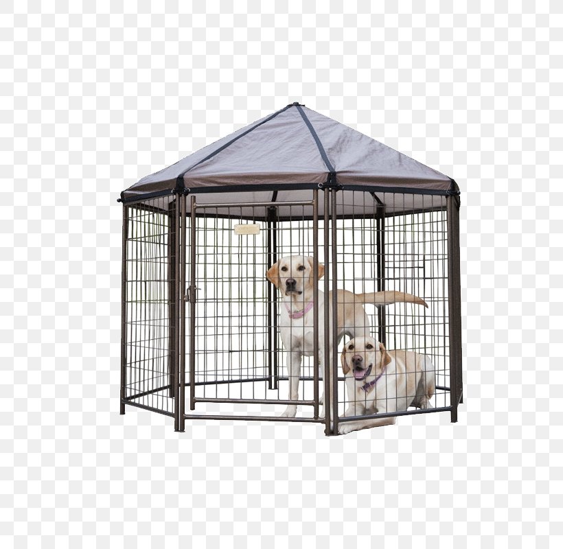 Kennel Dog Crate Gazebo Pet, PNG, 800x800px, Kennel, Cage, Crate, Dog, Dog Crate Download Free