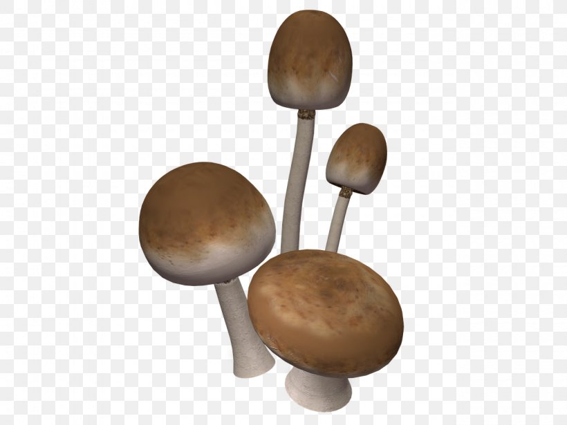 Mushroom Clip Art, PNG, 1280x960px, Mushroom, Coreldraw, Icon Design, Image File Formats, Image Resolution Download Free