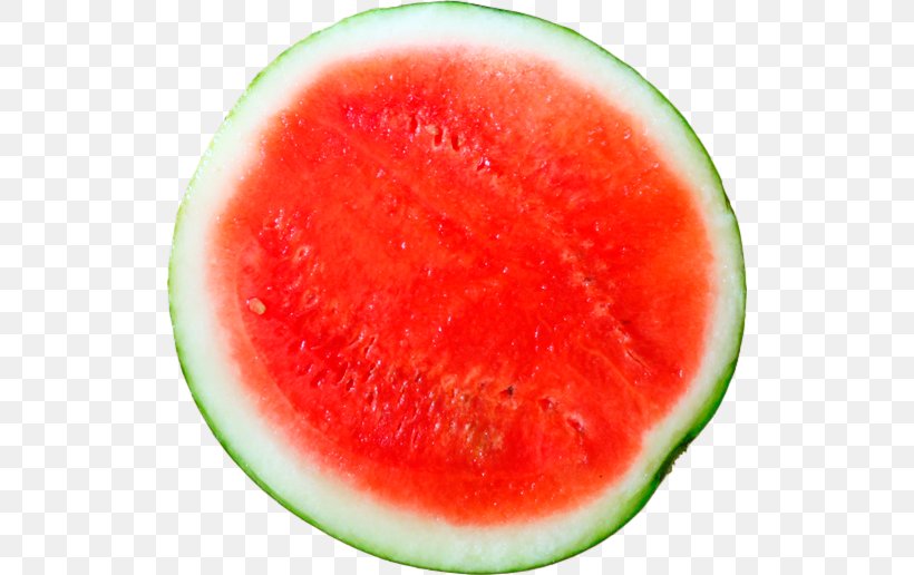 Watermelon Empresa Business Internet Profit, PNG, 520x516px, Watermelon, Business, Citrullus, Cucumber Gourd And Melon Family, Empresa Download Free