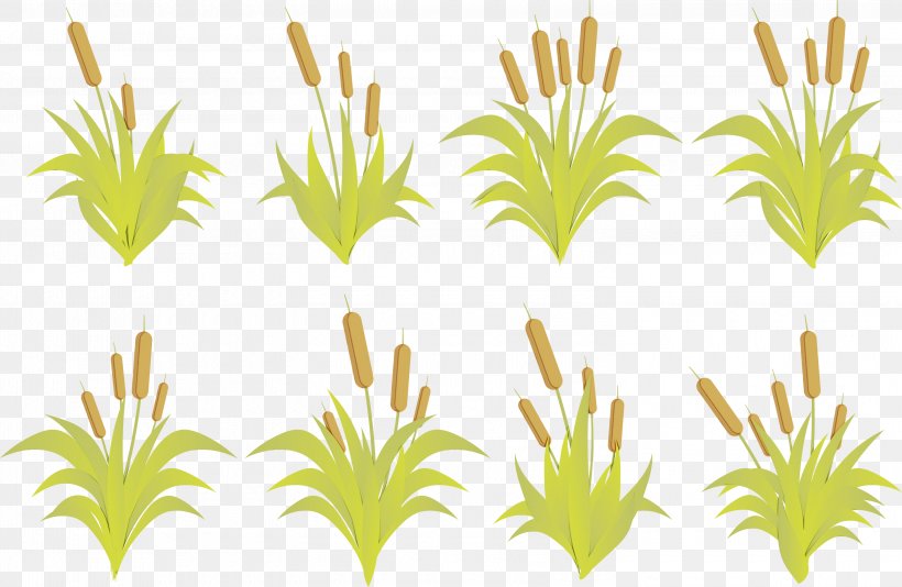 Green Grass Plant Clip Art Line, PNG, 3000x1954px, Watercolor, Grass, Green, Paint, Plant Download Free